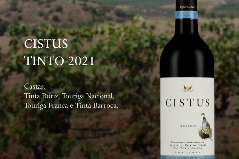 Le Cistus Douro